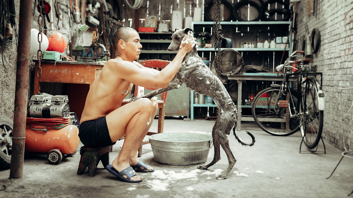 รีวิวหนัง Black Dog (2024) สี่ขาหัวใจไม่ดำ หนังที่จะทำให้คุณหันมาใจดีกับหมาดำมากขึ้น